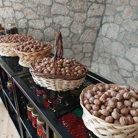 Vila Rira - Rrajce, Shebenik Perrenjas Εξωτερικό φωτογραφία