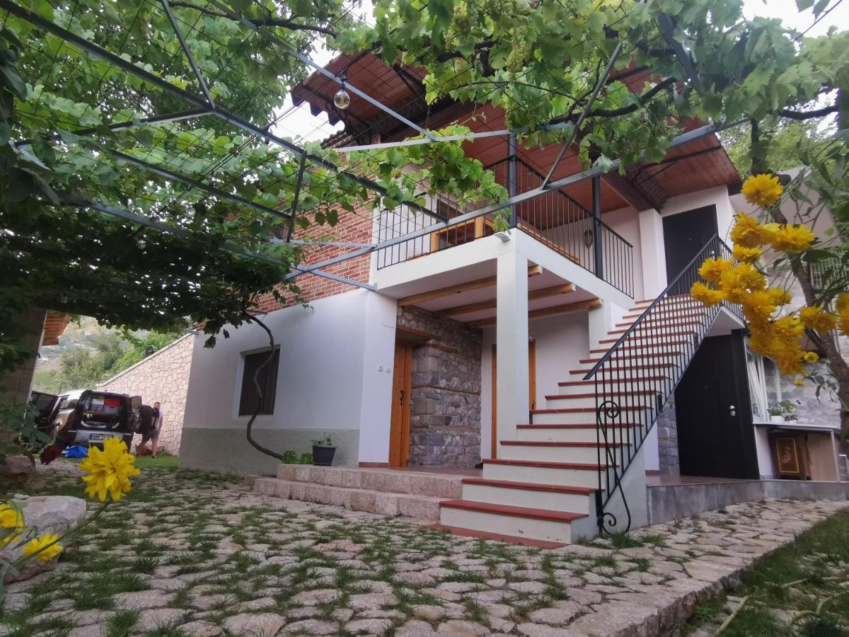 Vila Rira - Rrajce, Shebenik Perrenjas Εξωτερικό φωτογραφία
