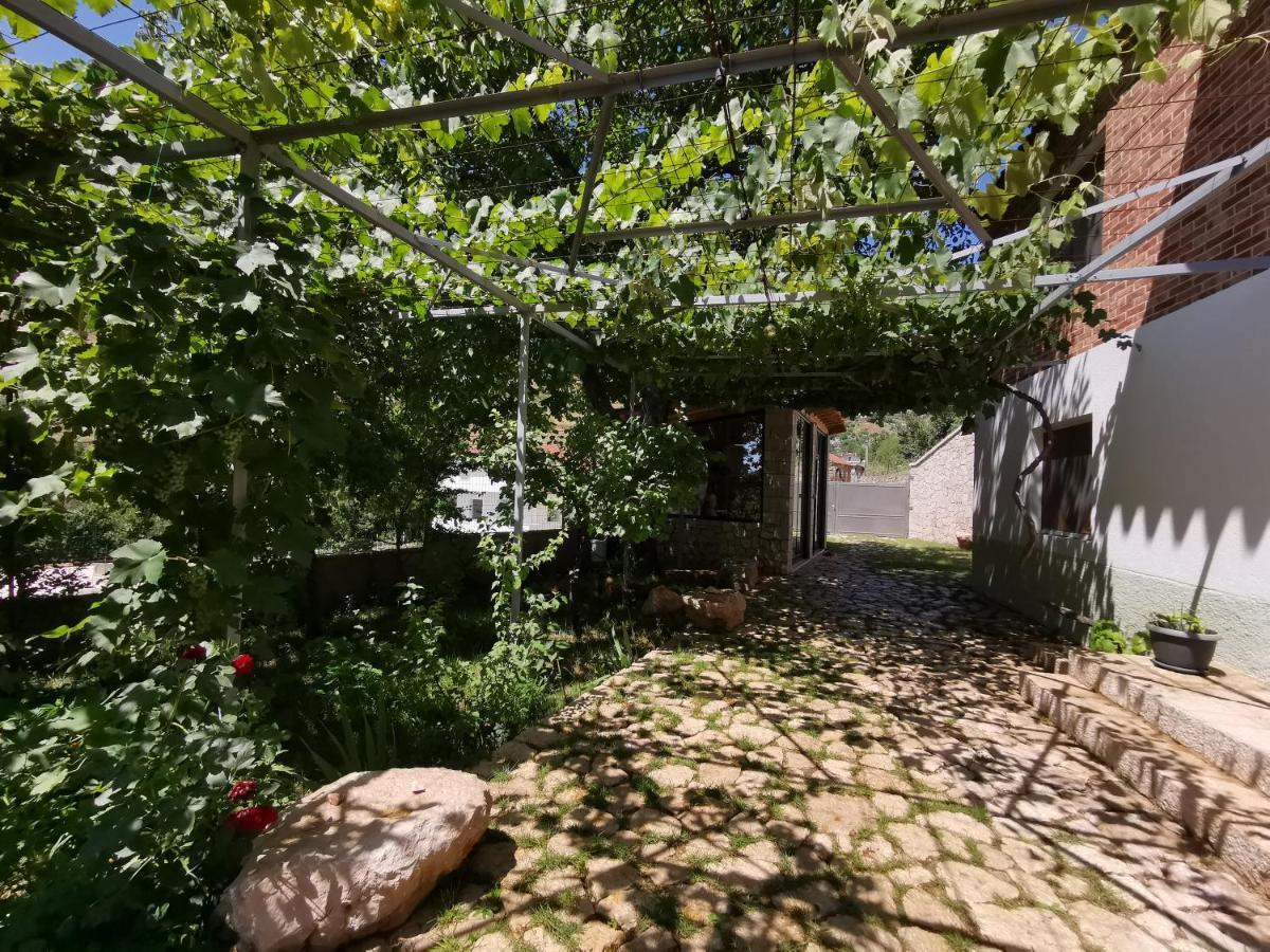 Vila Rira - Rrajce, Shebenik Perrenjas Εξωτερικό φωτογραφία