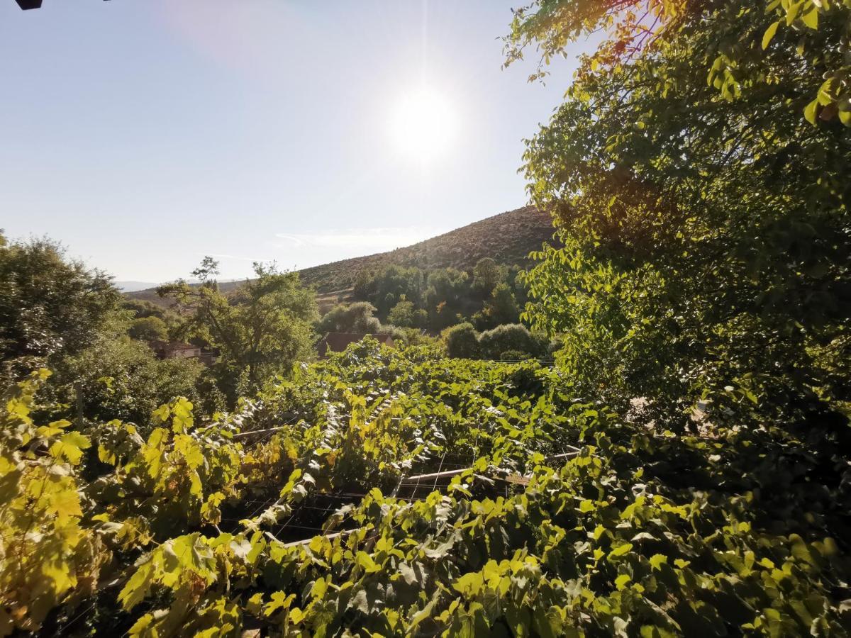 Vila Rira - Rrajce, Shebenik Perrenjas Εξωτερικό φωτογραφία