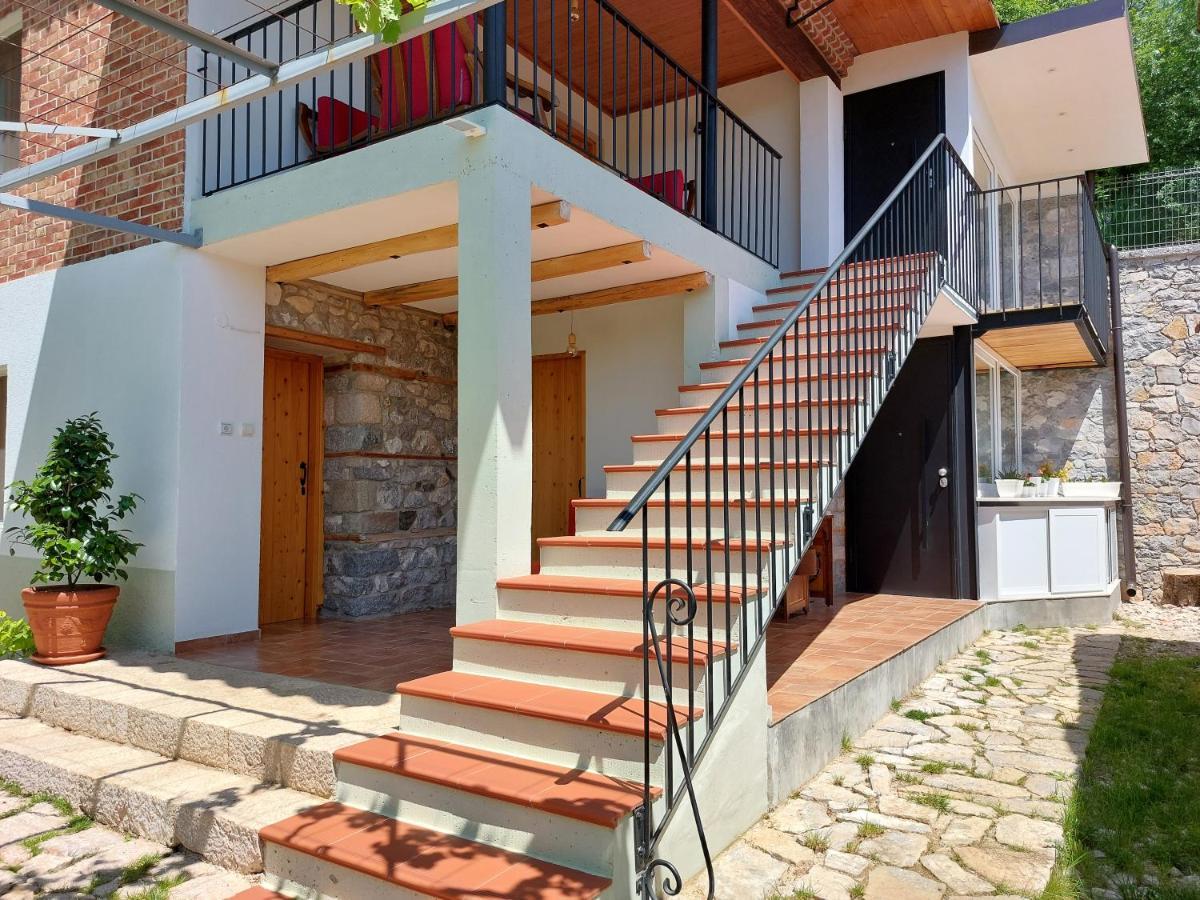 Vila Rira - Rrajce, Shebenik Perrenjas Εξωτερικό φωτογραφία